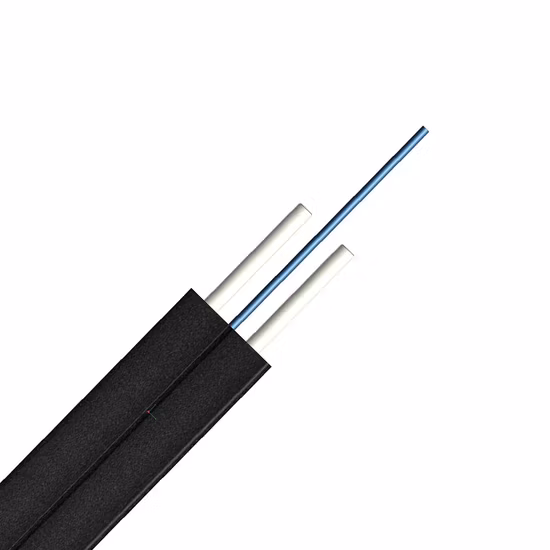 2 Core FTTH Self